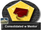 Consolidated Training with Mentor Support
