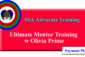 Mentorship Program Payment Plan
