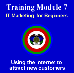 Module 7 - IT Marketing Strategies