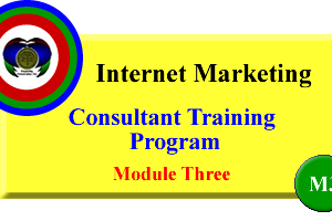 Consultants Marketing Program Module Three.